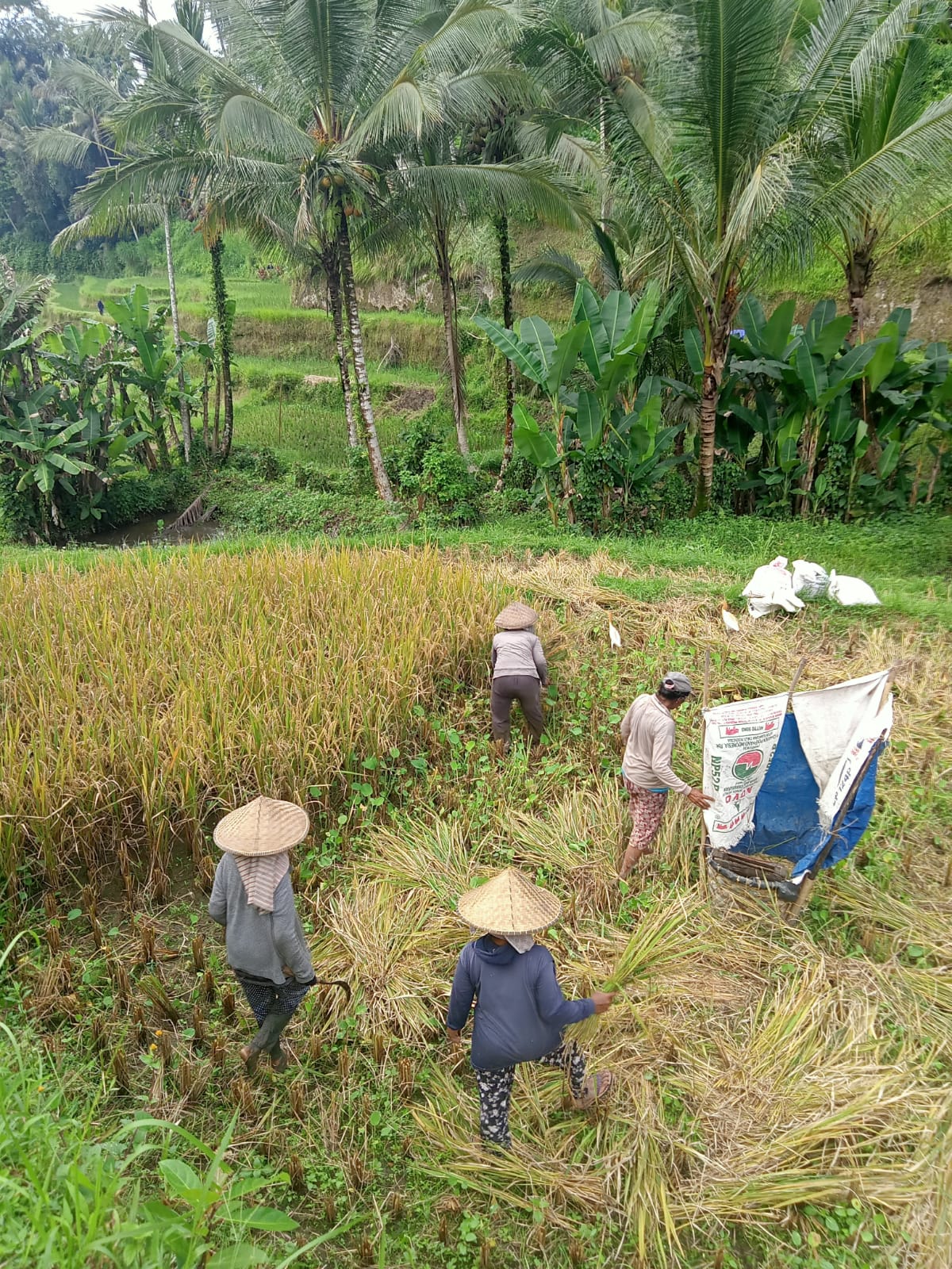 Galeri Rumah Irak et Kadek Bali